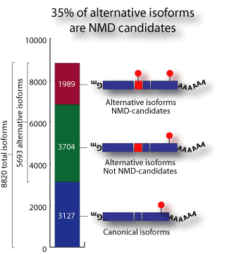 Results