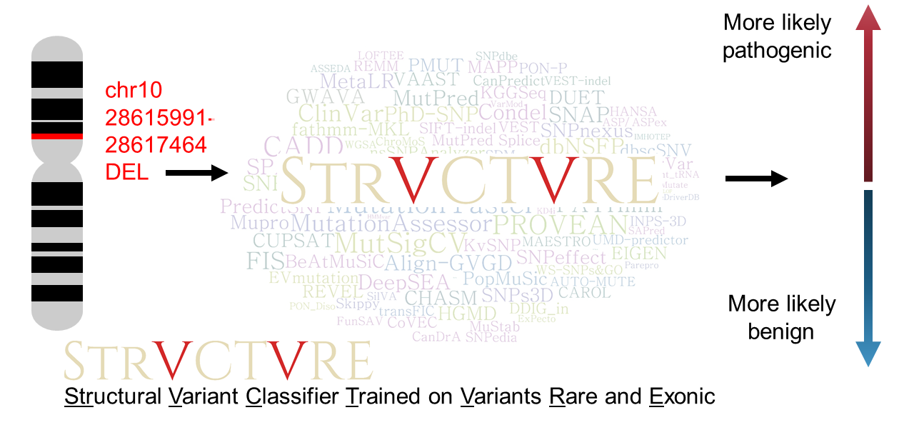 StrVCTVRE Summary